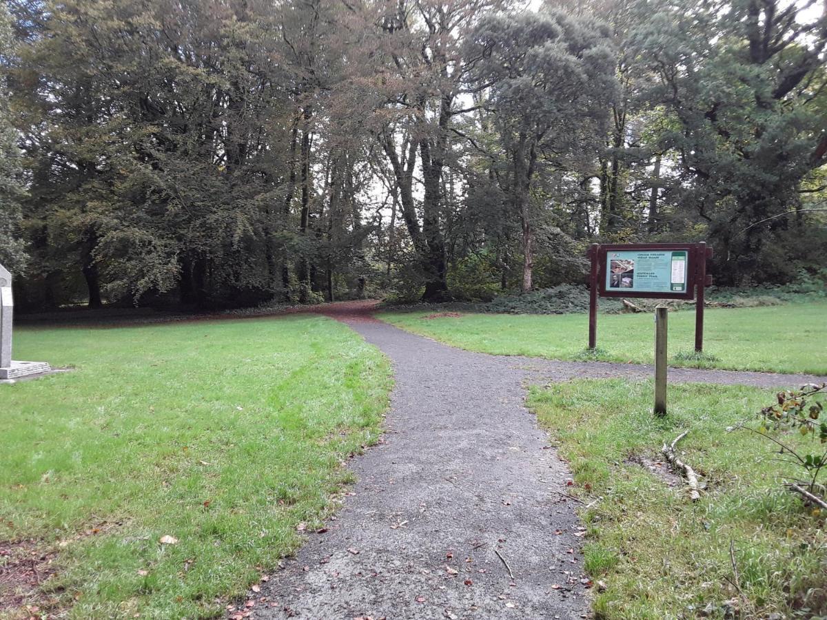 Meadowbrook Studio Rathdrum Eksteriør bilde